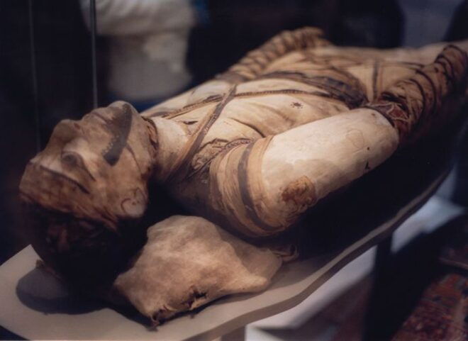 Tour Del Museo Británico - Selecting Participants