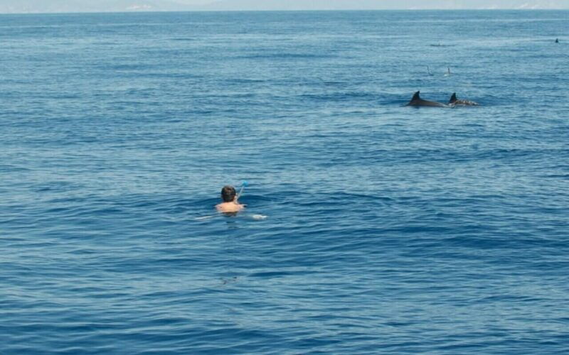 Tour dell'isola Ortigia,grotta azzurra, avvistamento delfini - Detailed Breakdown of the Itinerary