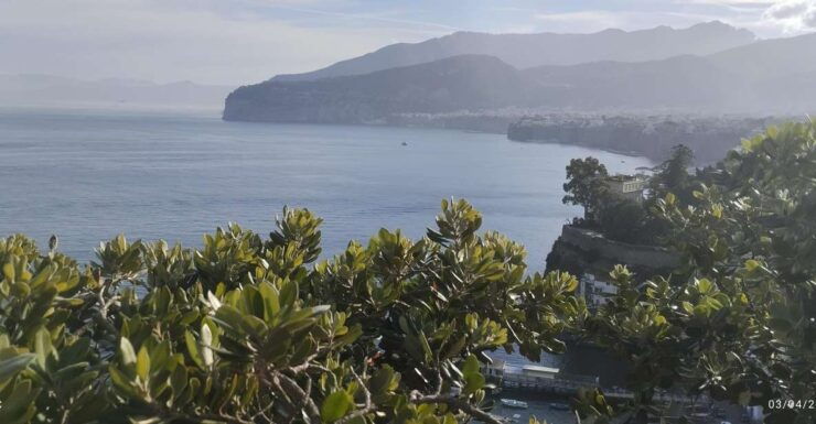 Tour Di Positano Sorrento and Pompeii From Naples - Tour Highlights
