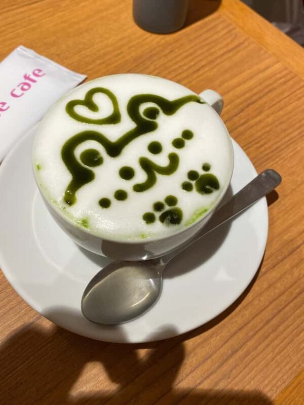 Tour en español: guía de los Maid Café (con traducción) - FAQs