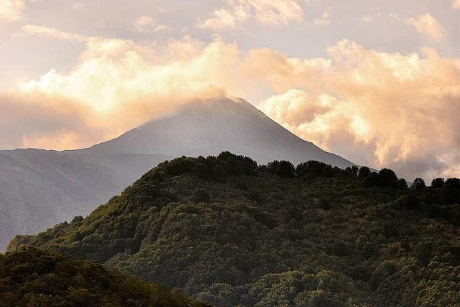 Tour Etna & Wine Tasting - Tour Details