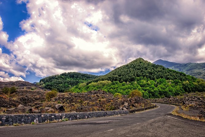 Tour Etna & Wine Tasting - Pricing