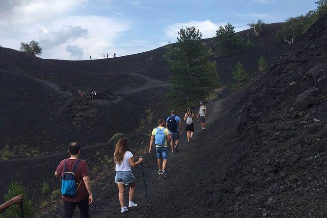 Tour Etna & Wine Tasting Private - Tour Highlights