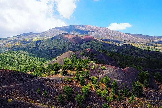 Tour Etna & Wine Tasting Private - Guided Walk and Volcano History