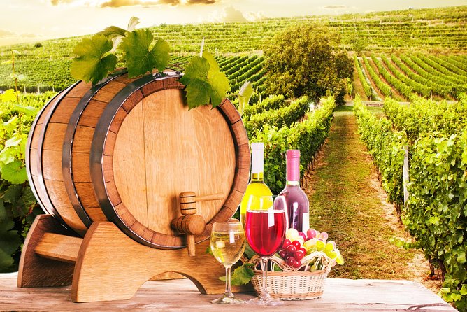 Tour Etna & Wine Tasting Private - Traveler Reviews