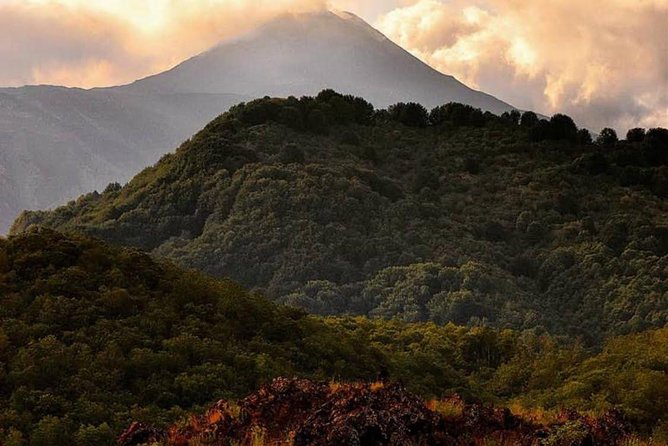 Tour Etna & Wine Tasting Private - Contact and Support