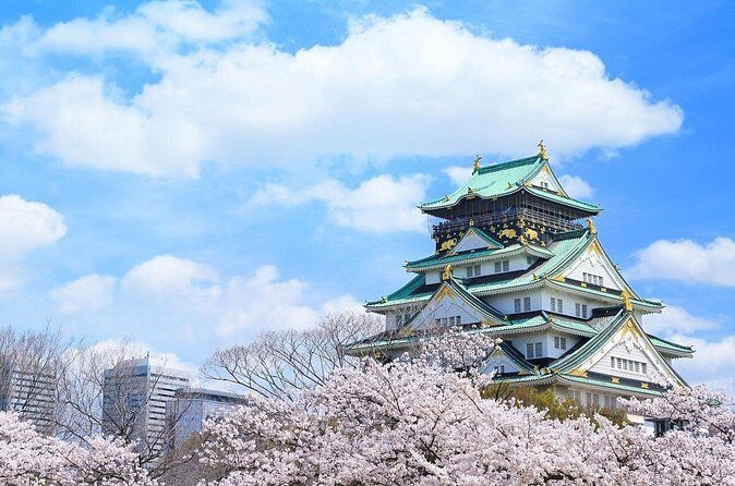 Tour Famous Spots in Osaka by Private Car - FAQs
