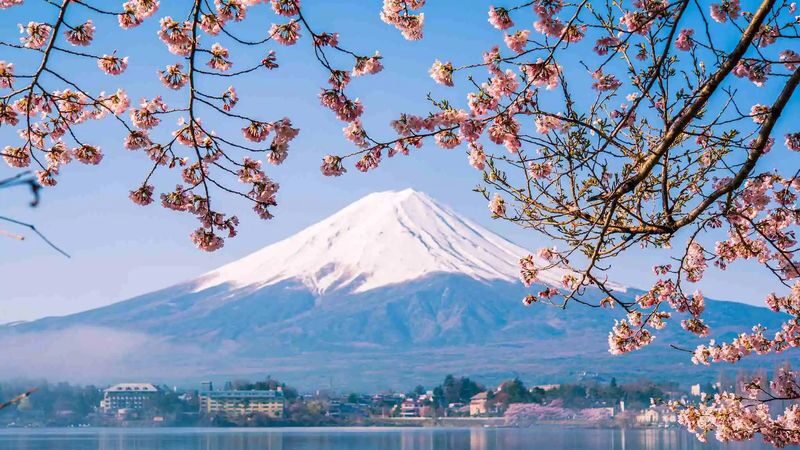Tour for One Person: Classic Mt. Fuji Day Trip: Mt. Fuji 5th Station, Arakurayama Sengen Park, Gotemba Outlets or Hot Spring Day Trip (Departure from Tokyo) - One day, two different Mount Fuji views