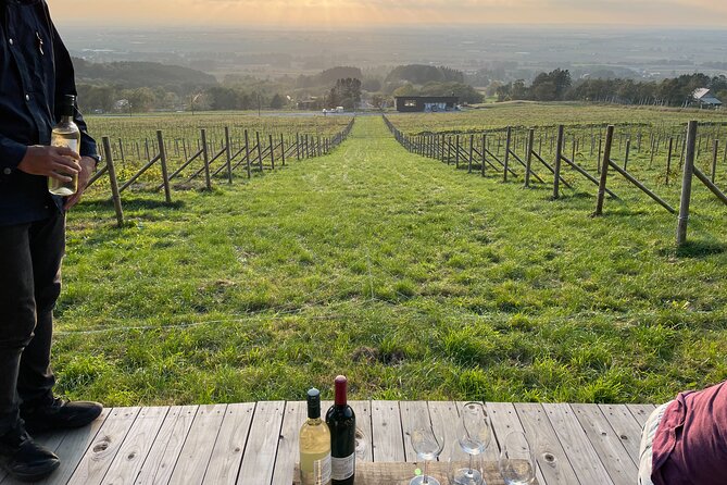 Tour for Wine Connoisseurs and SNS Enthusiasts - Expectations and Requirements