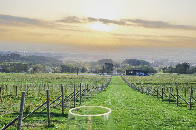 Tour for Wine Connoisseurs and SNS Enthusiasts - Common Questions