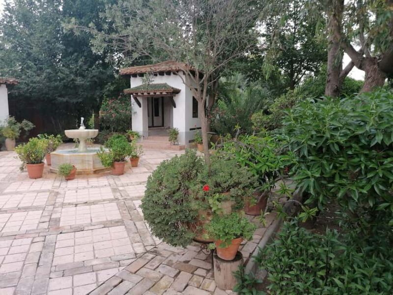 Tour from Alicante to Casa Morisca in Crevillente with Tea and Pastries in a Van - Final Thoughts