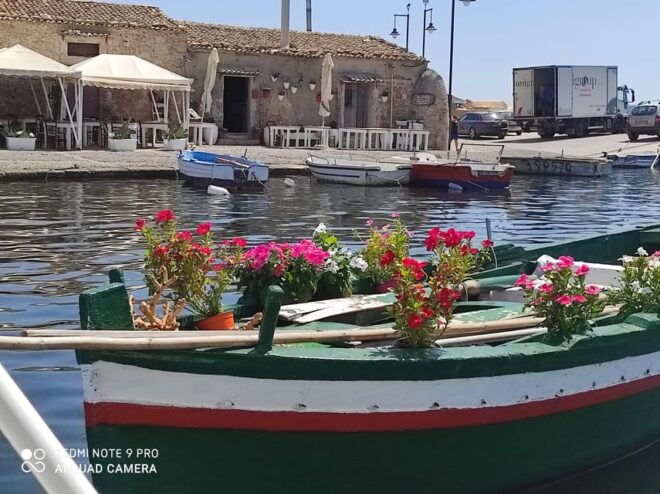 Tour From Avola to Plemmirio (Syracuse) Immersed in the Reserves - Inclusions and Amenities