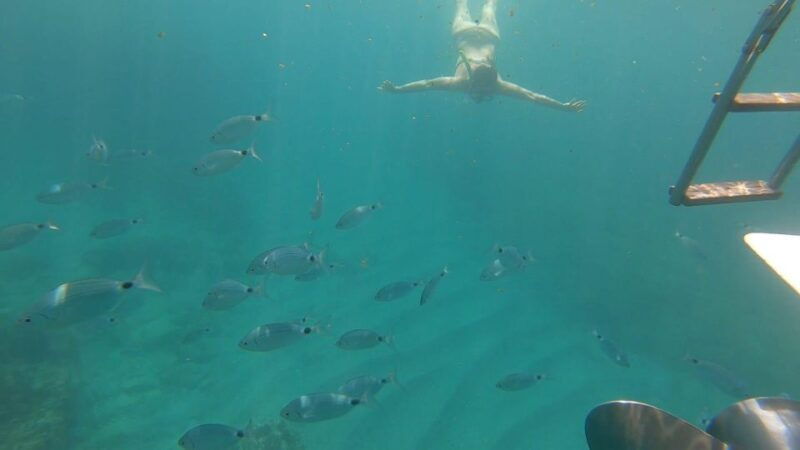 Tour From Avola to Portopalo With a Stop and Visit to Marzamemi - Good To Know