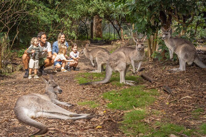 Tour from Eden to Merimbula Wetlands Wildlife and Coastline - Good To Know