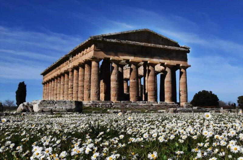 Tour from Naples to Paestum: Discover the Temples of Magna Graecia - Good To Know