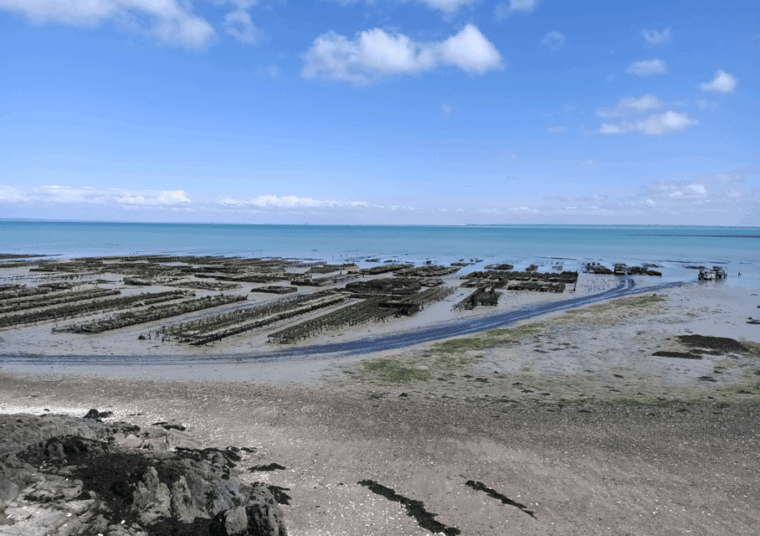 Tour From Rennes: Mont Saint-Michel & Cancale & Saint-Malo - Traveler Reviews