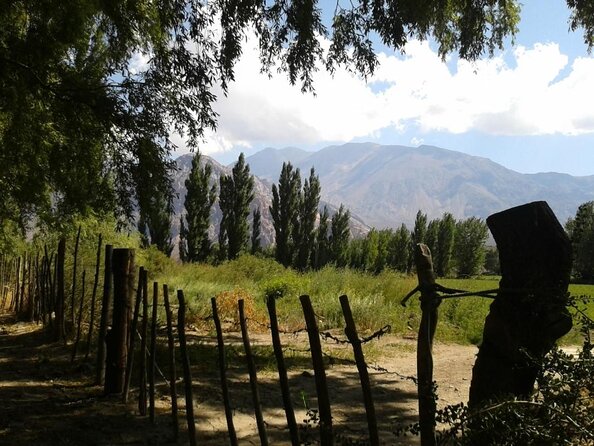 Tour Full Day High Mountain: Potrerillos, Uspallata From Mendoza - Good To Know
