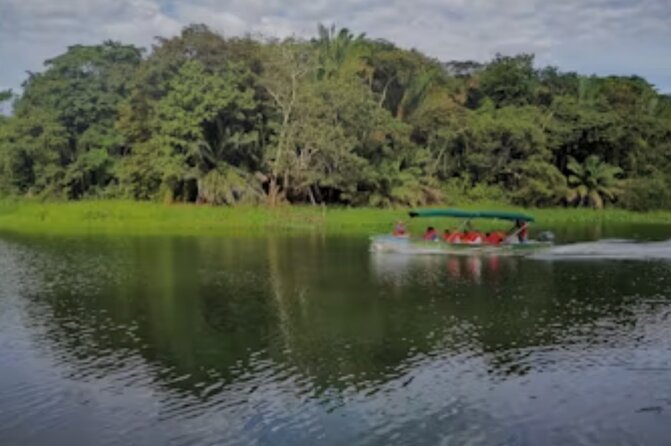 Tour Gatun Lake Wildlife Monkey Watch and Sloth Sanctuary - Good To Know