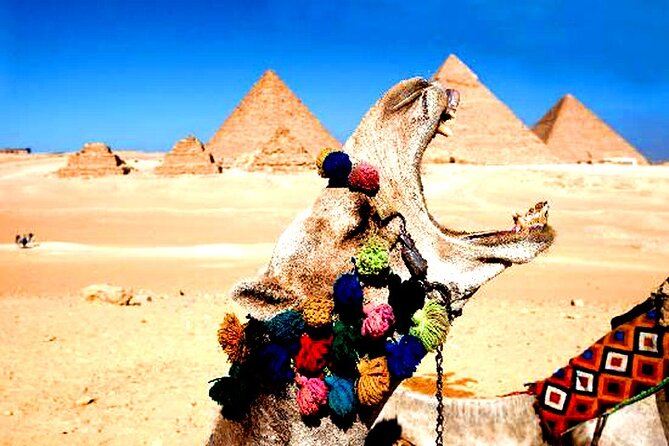 Tour Giza Pyramids, Sphinx Egyptian Museum,Market,Camel Ride - Itinerary Overview