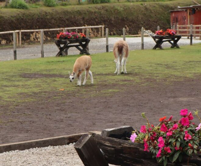 Tour Guatapé: All Included for Two or More People - Inclusions in the Tour Package