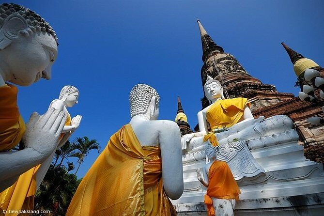 Tour guide Driver service - FAQs