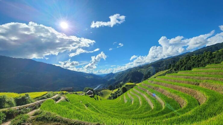 Tour Ha Noi - Mu Cang Chai Treckking 3 Days 2 Nights - Tour Highlights