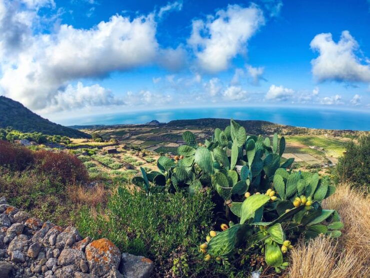 Tour Hidden Pantelleria - Booking Details