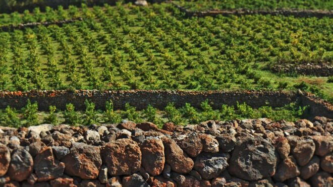 Tour Hidden Pantelleria - Naturalistic Potential of Tour