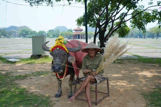 Tour Hoa Lu - Tam Coc - Mua Cave - Biking With Buffet Lunch - Customer Feedback