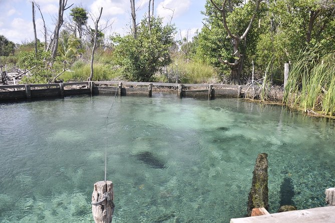 Tour Holbox - Two Island & Cenote From Cancun & Playa Del Carmen - Common Questions