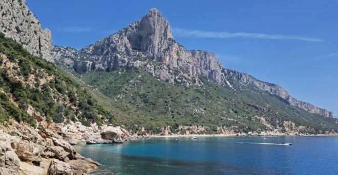 Tour in 4X4 in the Land of the Centenarians With a Typical Lunch - Lunch Experience