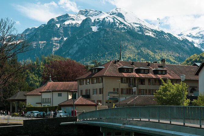Tour in a Private Car From Zurich to Grindelwald and Interlaken - Pick-Up Details and Options