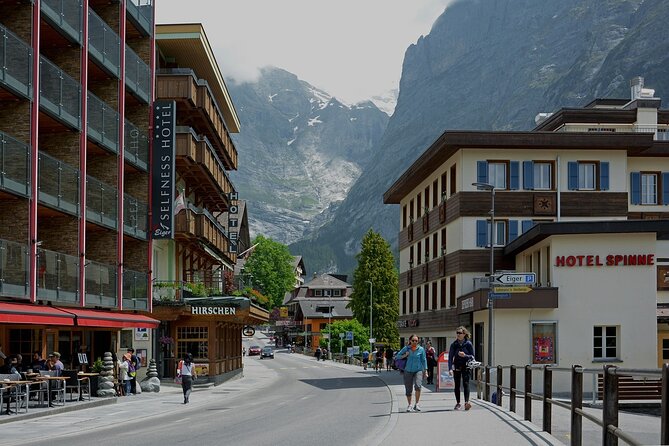 Tour in a Private Car From Zurich to Grindelwald and Interlaken - Assistance and Customer Support