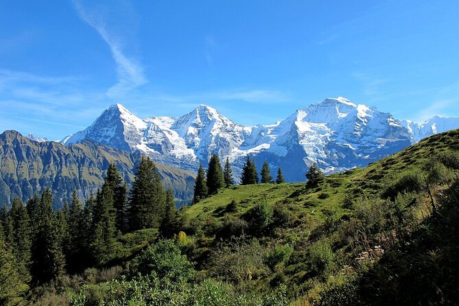 Tour in a Private Car From Zurich to Grindelwald and Interlaken - Common Questions