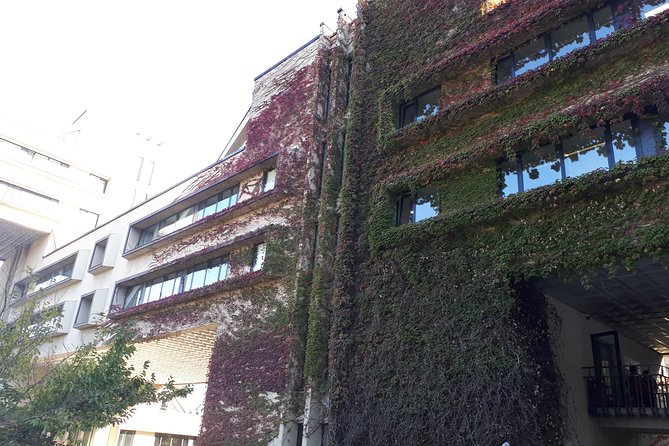 Tour in Art-Studio in Suburb of Tbilisi,You Can Take Memories of Georgia Along - The Sum Up