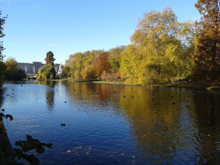 Tour in English: London in One Day - Experiences