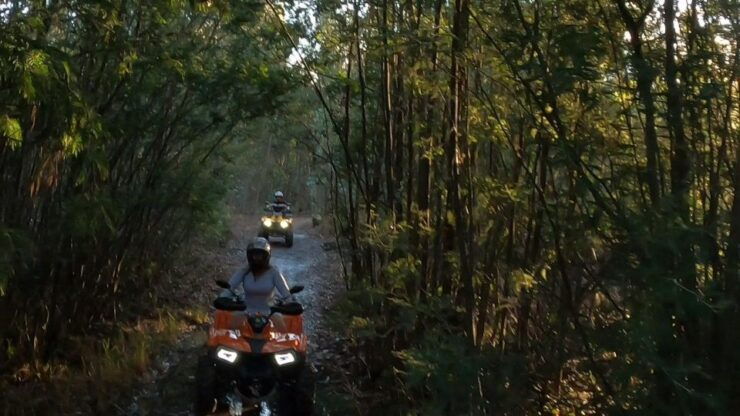 Tour in Fourth Adventure Quad of Trocha and Petroglyphs - Experience Highlights