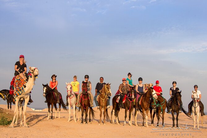 Tour in Hurghada Arabian Night and Star Watching - Highlights of the Arabian Night Experience
