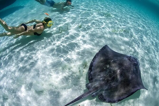 “ Tour in Isla Mujeres “ Transparent Boat Ride - Visiting Reefs and Marine Life