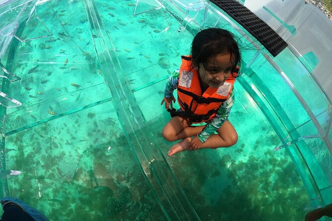 “ Tour in Isla Mujeres “ Transparent Boat Ride - Traveler Photos and Reviews