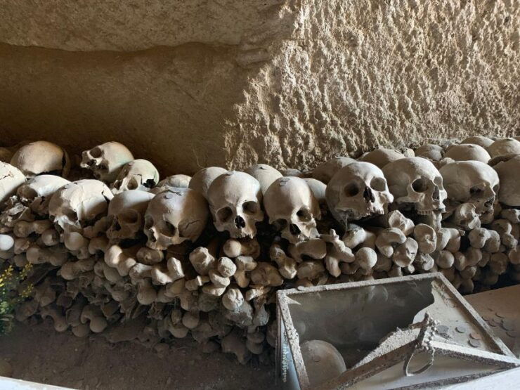 Tour in Minivan Mercedes to Sorrento & Pompeii - Good To Know