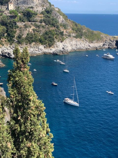 Tour in Minivan Mercedes to Sorrento & Pompeii - Tour Details