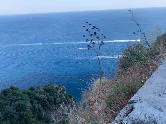 Tour in Minivan Mercedes to Sorrento & Pompeii - Directions