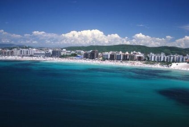 Tour in Praia Do Forte Discover the Charm of the Turtles - Turtle Conservation Efforts