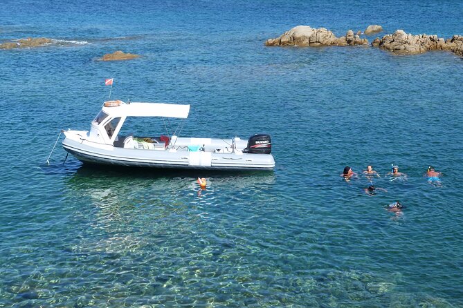 Tour in Rubber Dinghy and Snorkeling in the Protected Marine Area of Tavolara - Questions and Contact Information
