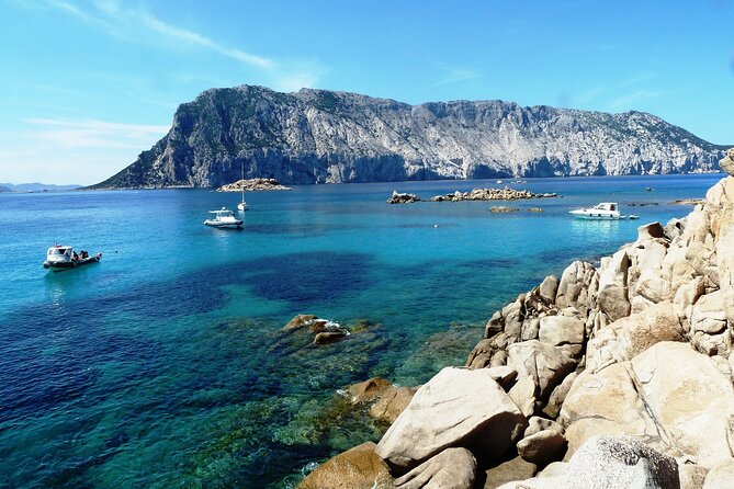 Tour in Rubber Dinghy and Snorkeling in the Protected Marine Area of Tavolara - Pricing Information and Terms