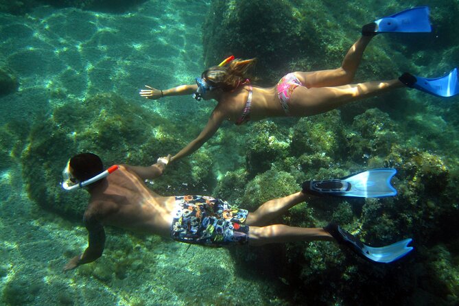 Tour in Rubber Dinghy and Snorkeling in the Protected Marine Area of Tavolara - The Sum Up