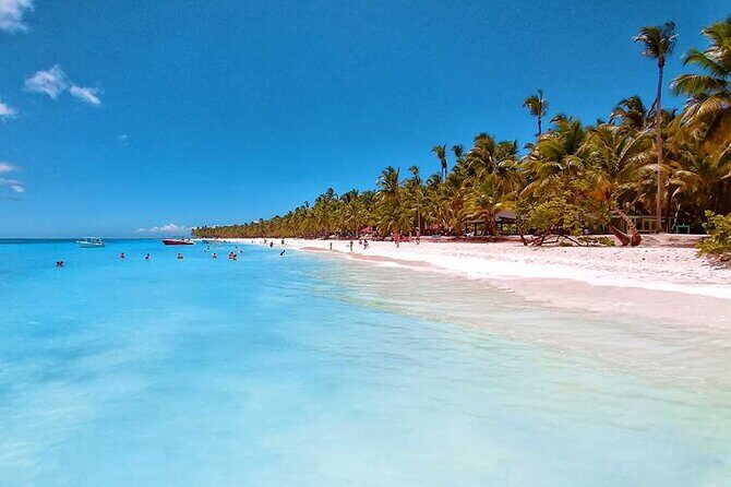 Tour in Saona Island from Santo Domingo - Leisure Time and Swimming