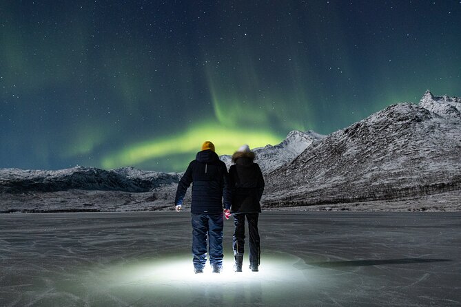 Tour in Search of the Northern Lights in Tromso - Traveler Photos and Experiences