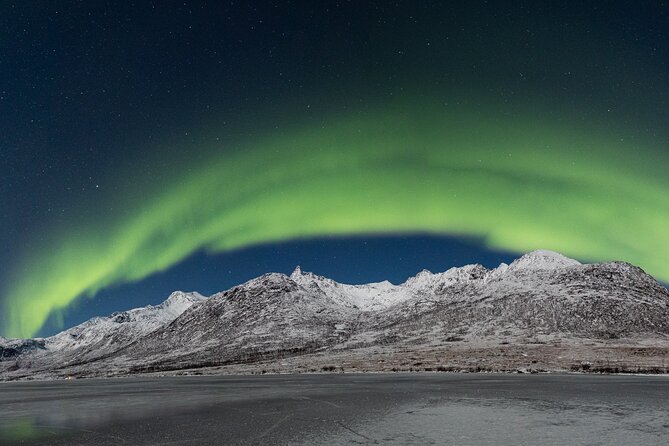 Tour in Search of the Northern Lights in Tromso - Common Questions